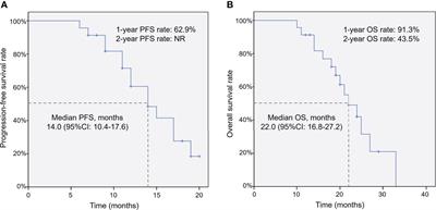 CalliSpheres® microsphere transarterial chemoembolization combined with 125I brachytherapy for patients with non–small‐cell lung cancer liver metastases